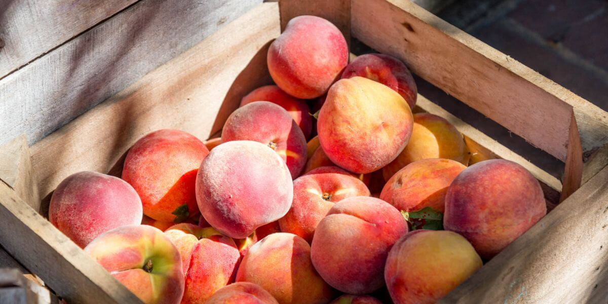 Why Georgia Peaches Are the Best - Eater Atlanta
